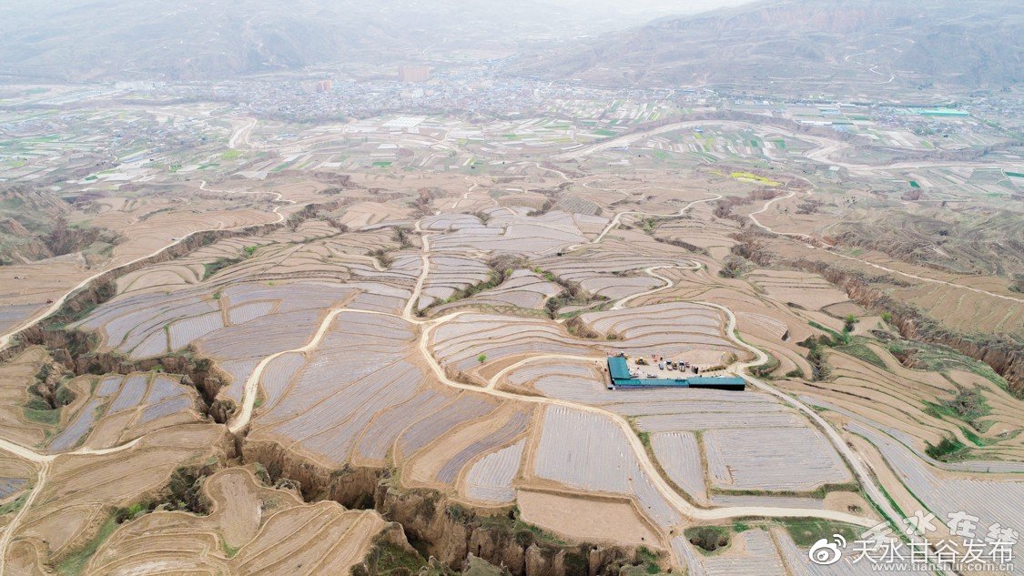 ks点赞自助平台下单平台有哪些：小红书抖音点赞自助平台推荐合集